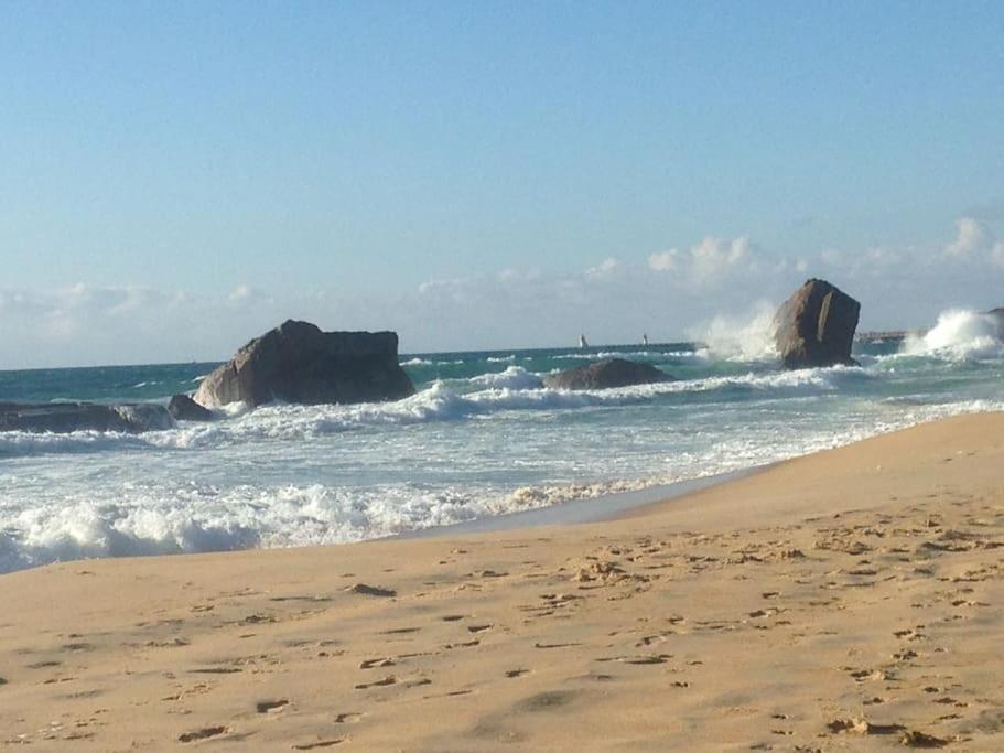 Cap Ocean-Studio Capbreton Ngoại thất bức ảnh